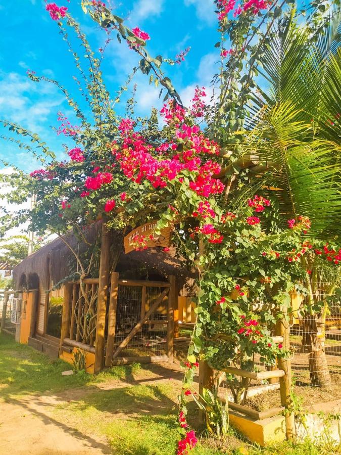 Pousada Dos Cardeais Barra Grande  Exterior foto